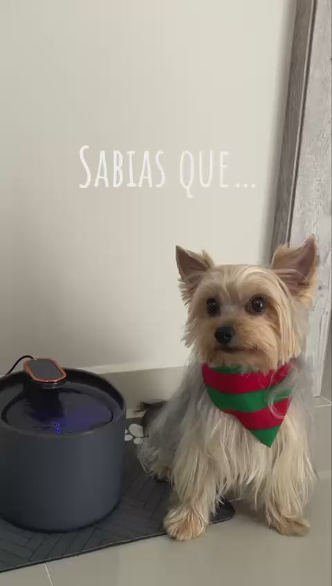 Cargar video: 